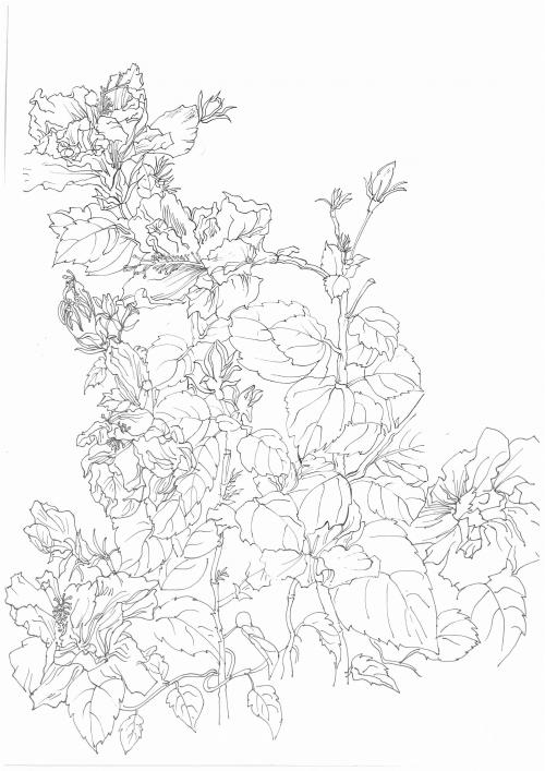 倉敷芸術科学大学硕士成绩单